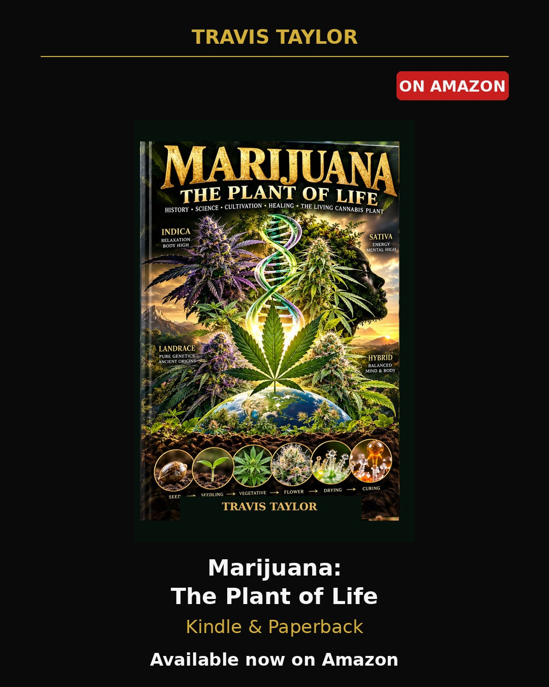 Marijuana: The Plant of Life